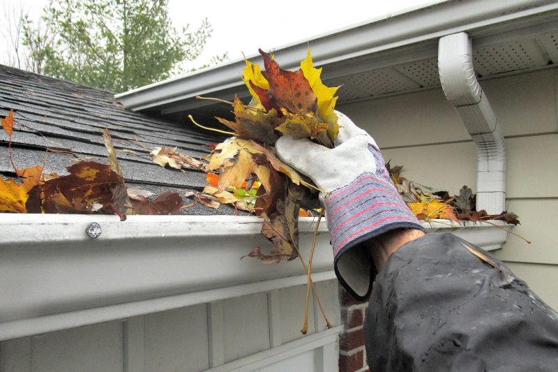 Gutter and Edge Maintenance