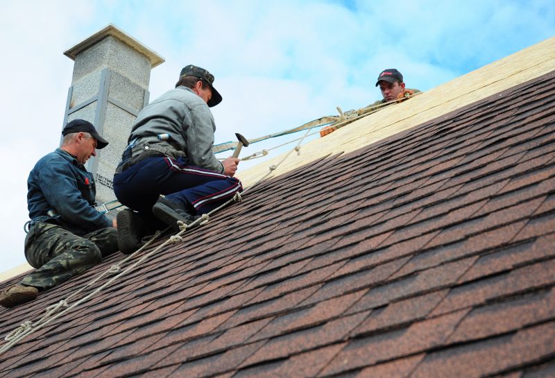 Skilled Roof Repair Technician